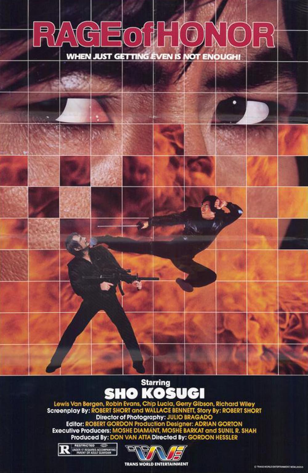 Rage Of Honor (1987)