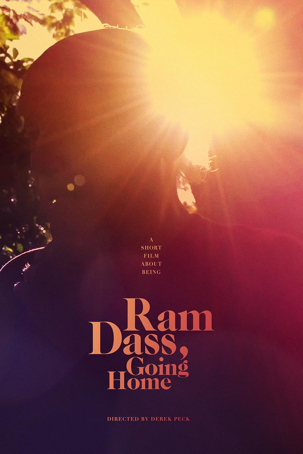 Ram Dass Going Home (2017)