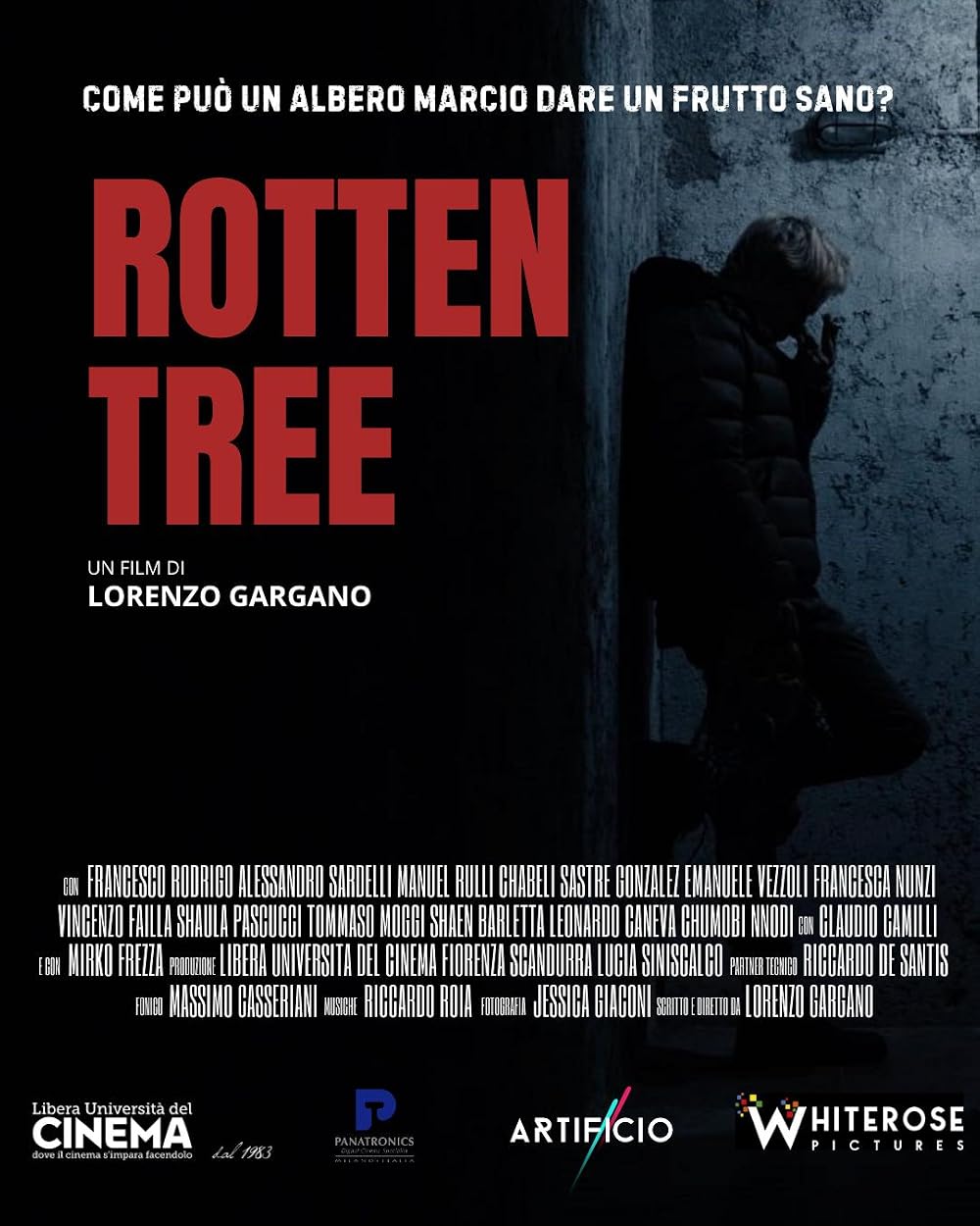 Rotten Tree (2025)