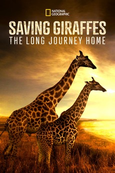 Saving Giraffes - The Long Journey Home (2022)