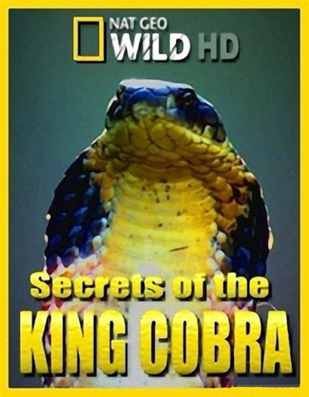 Secrets Of The King Cobra (2010)