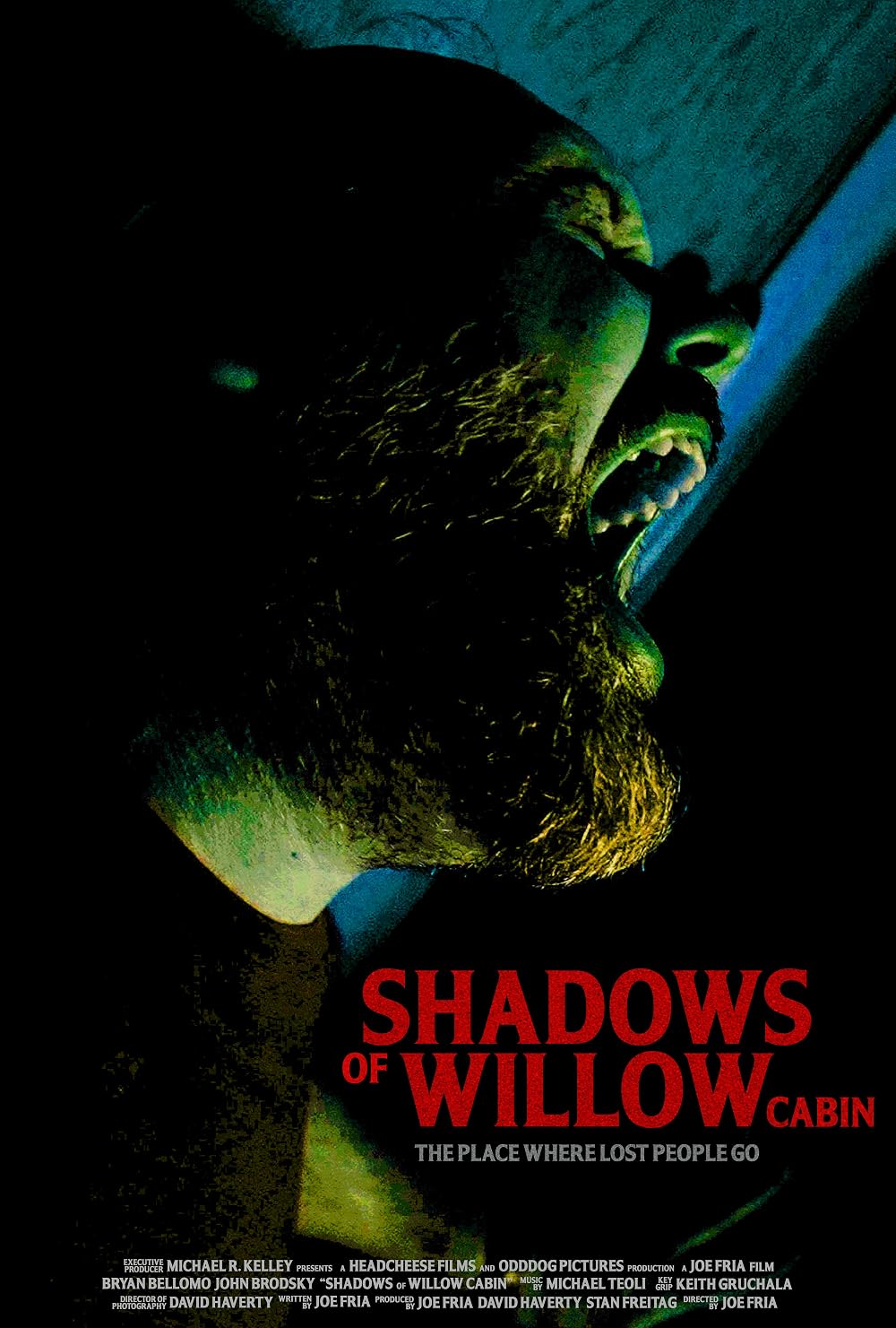 Shadows Of Willow Cabin (2025)