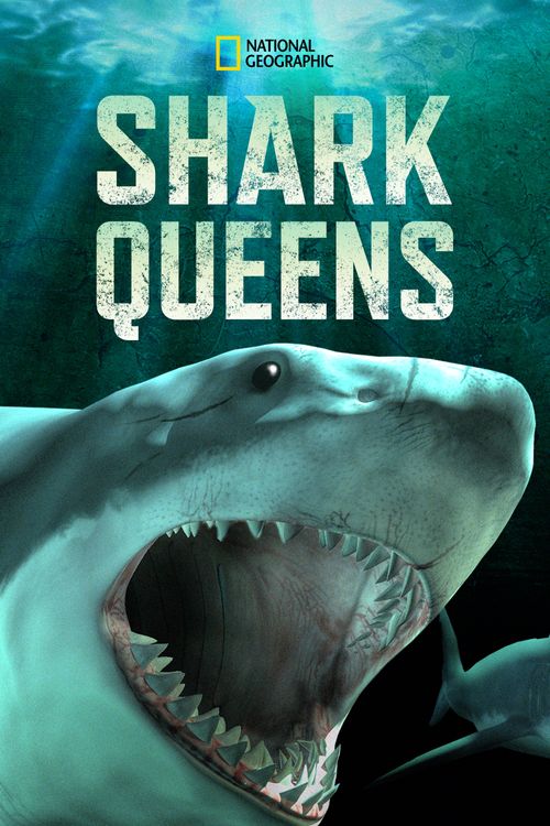 Shark Queens (2022)