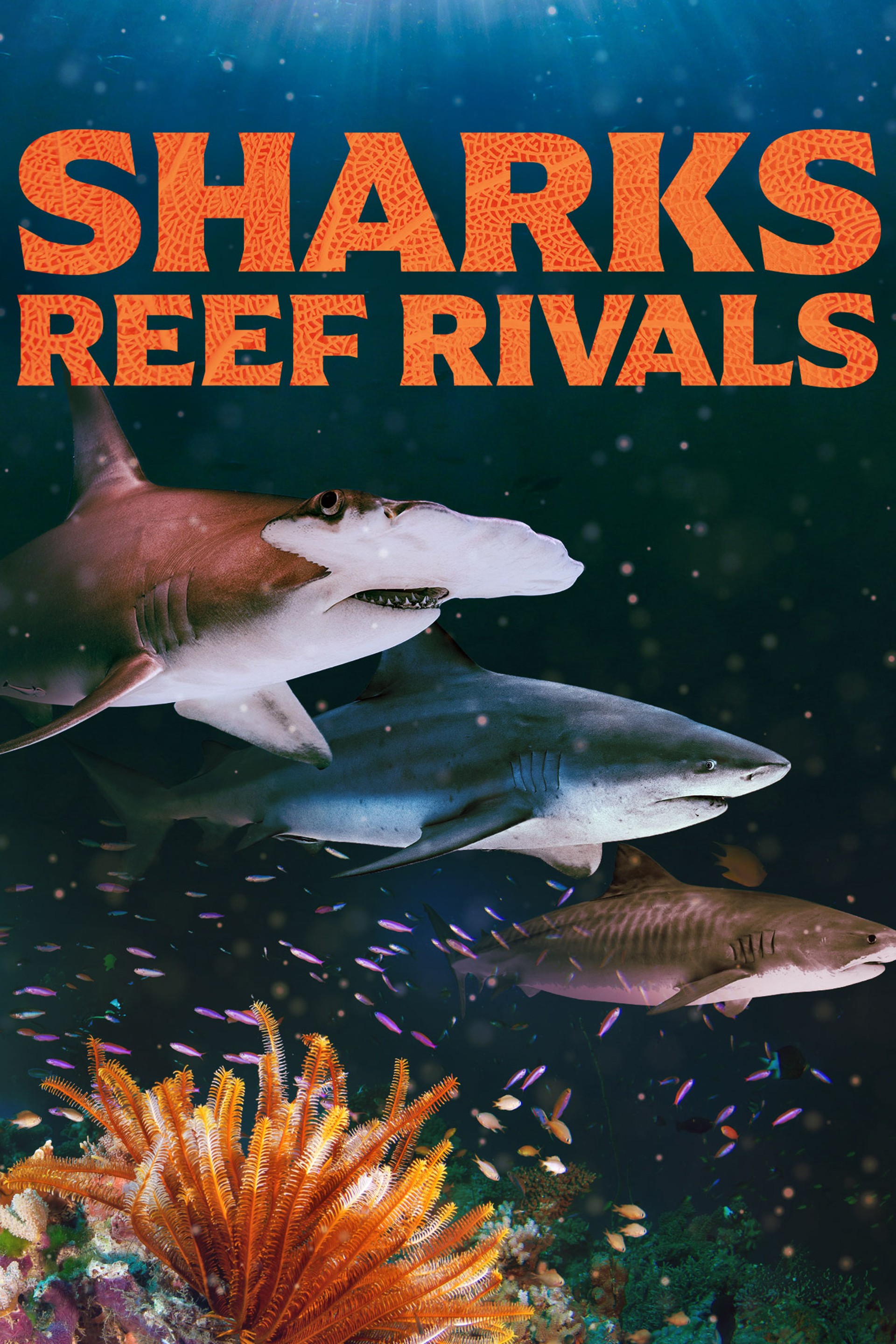 Sharks - Reef Rivals (2026)