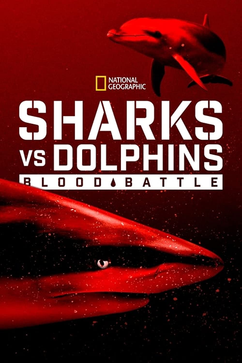 Sharks vs. Dolphins - Blood Battle (2020)