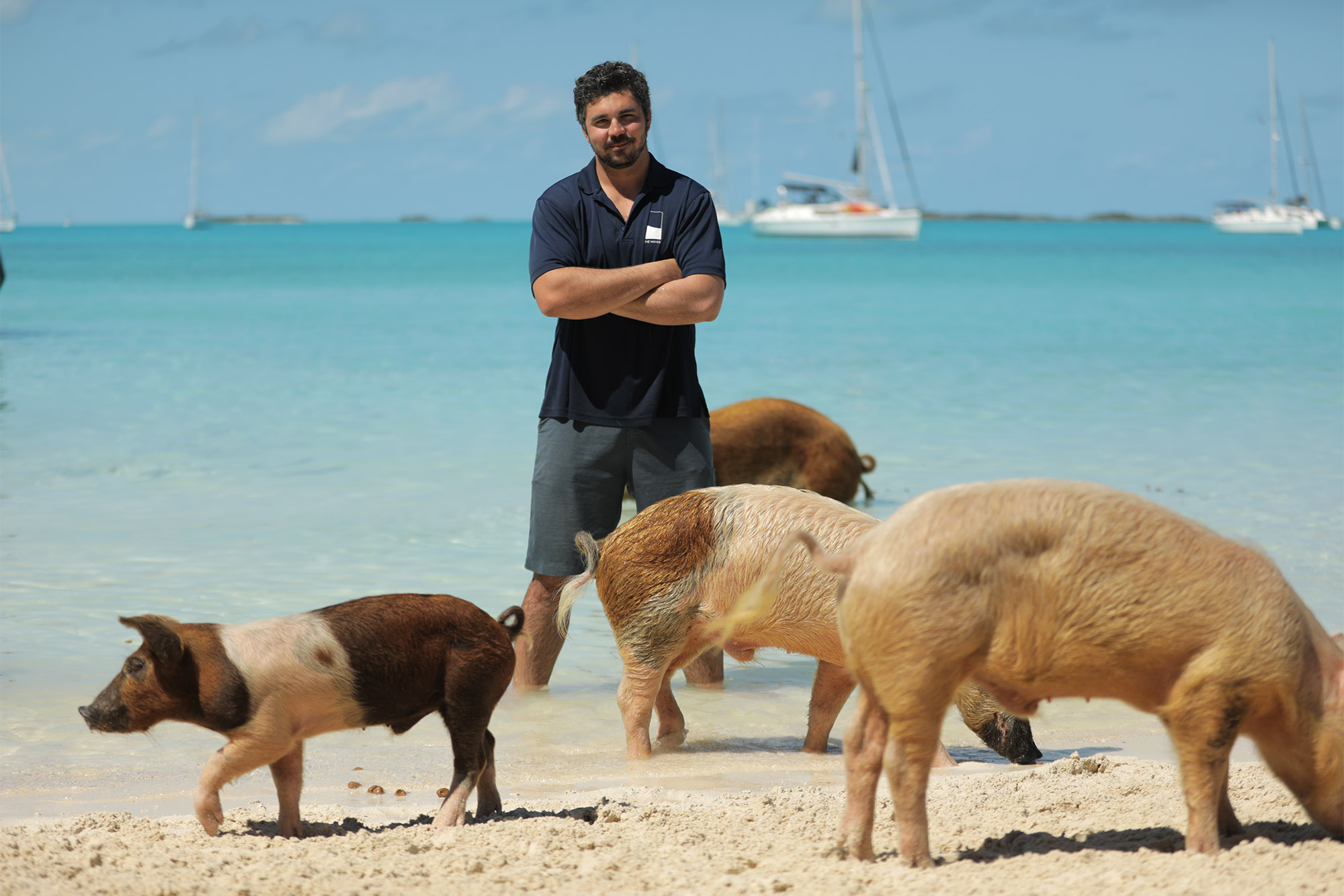 Shark Week - Pig vs Shark (2022)