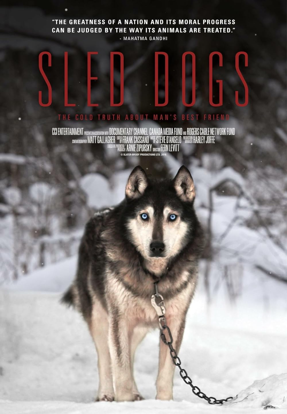 Sled Dogs (2016)