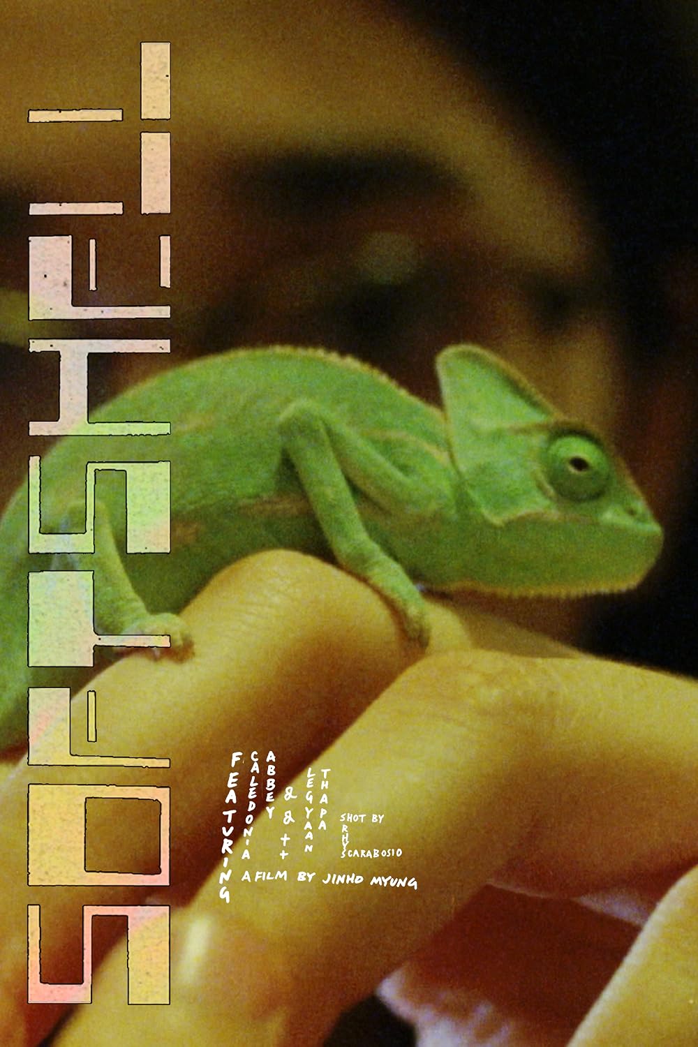 Softshell (2024)