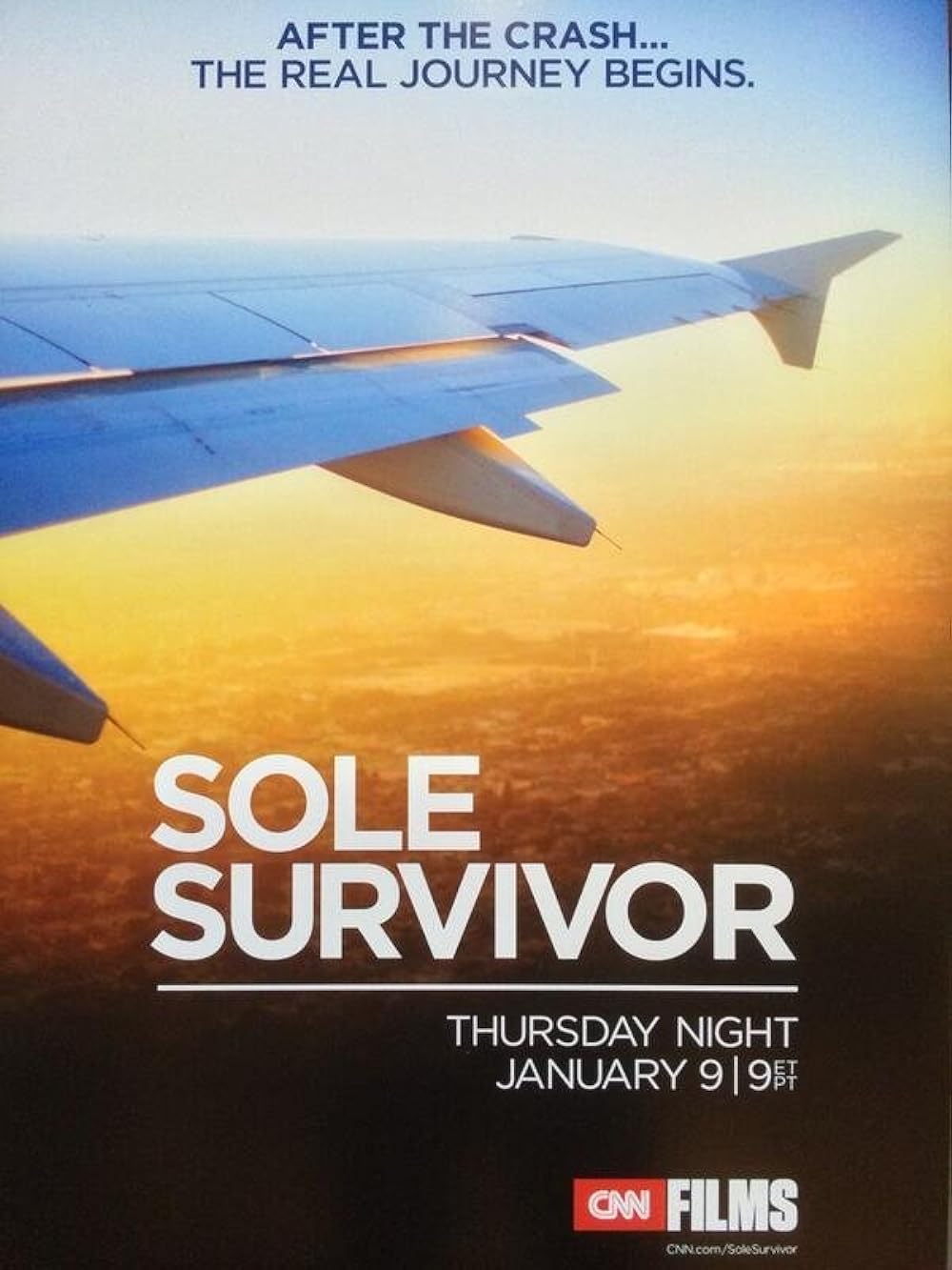 Sole Survivor (2013)
