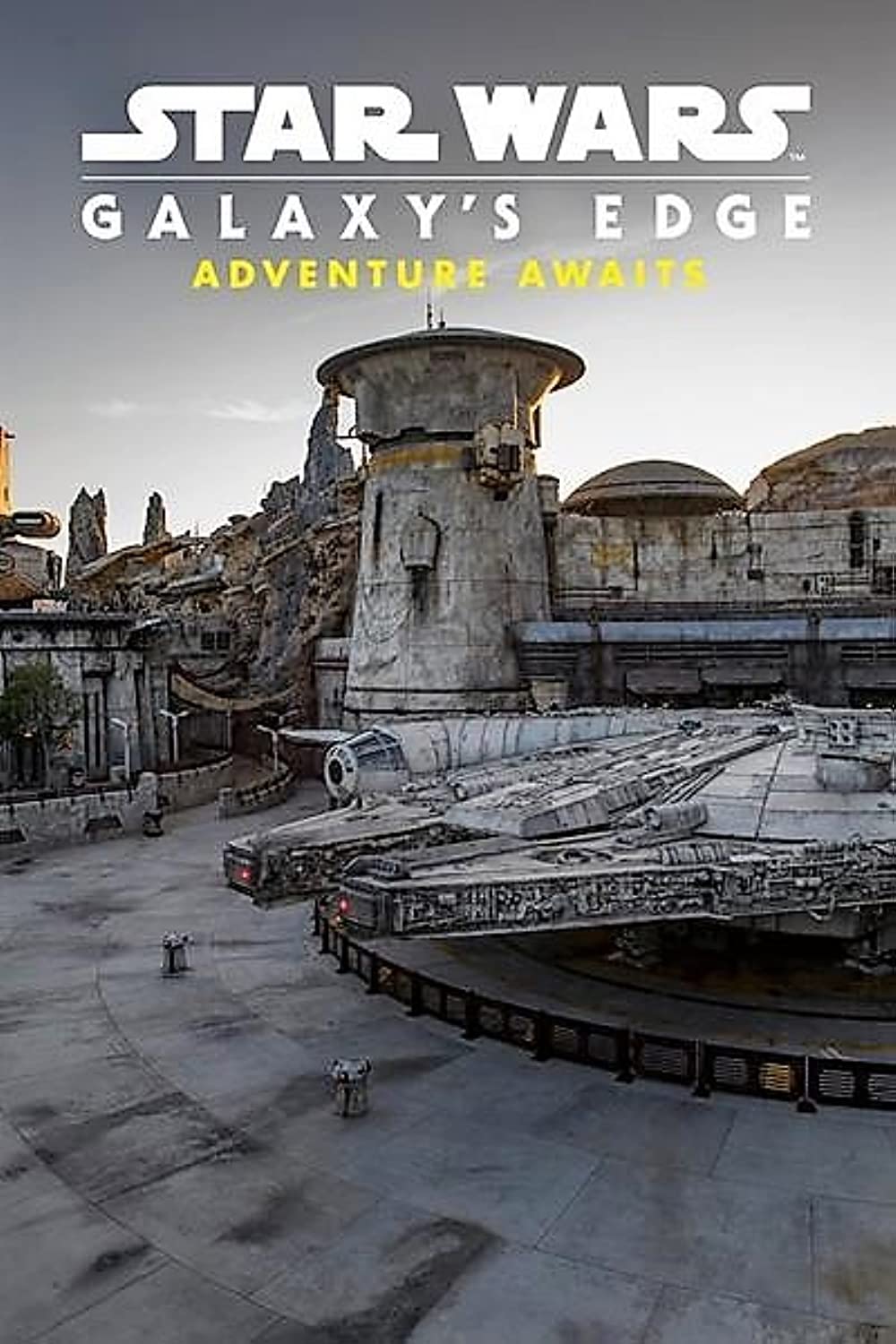 Star Wars Galaxy's Edge - Adventure Awaits (2019)