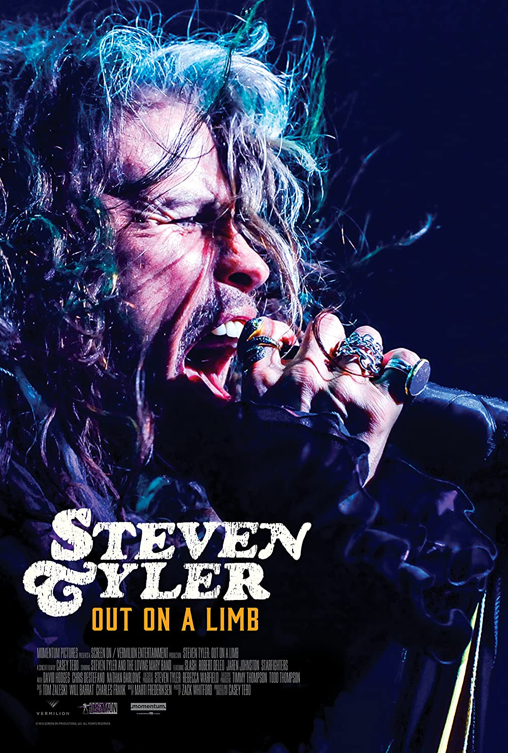 Steven Tyler - Out On A Limb (2018)