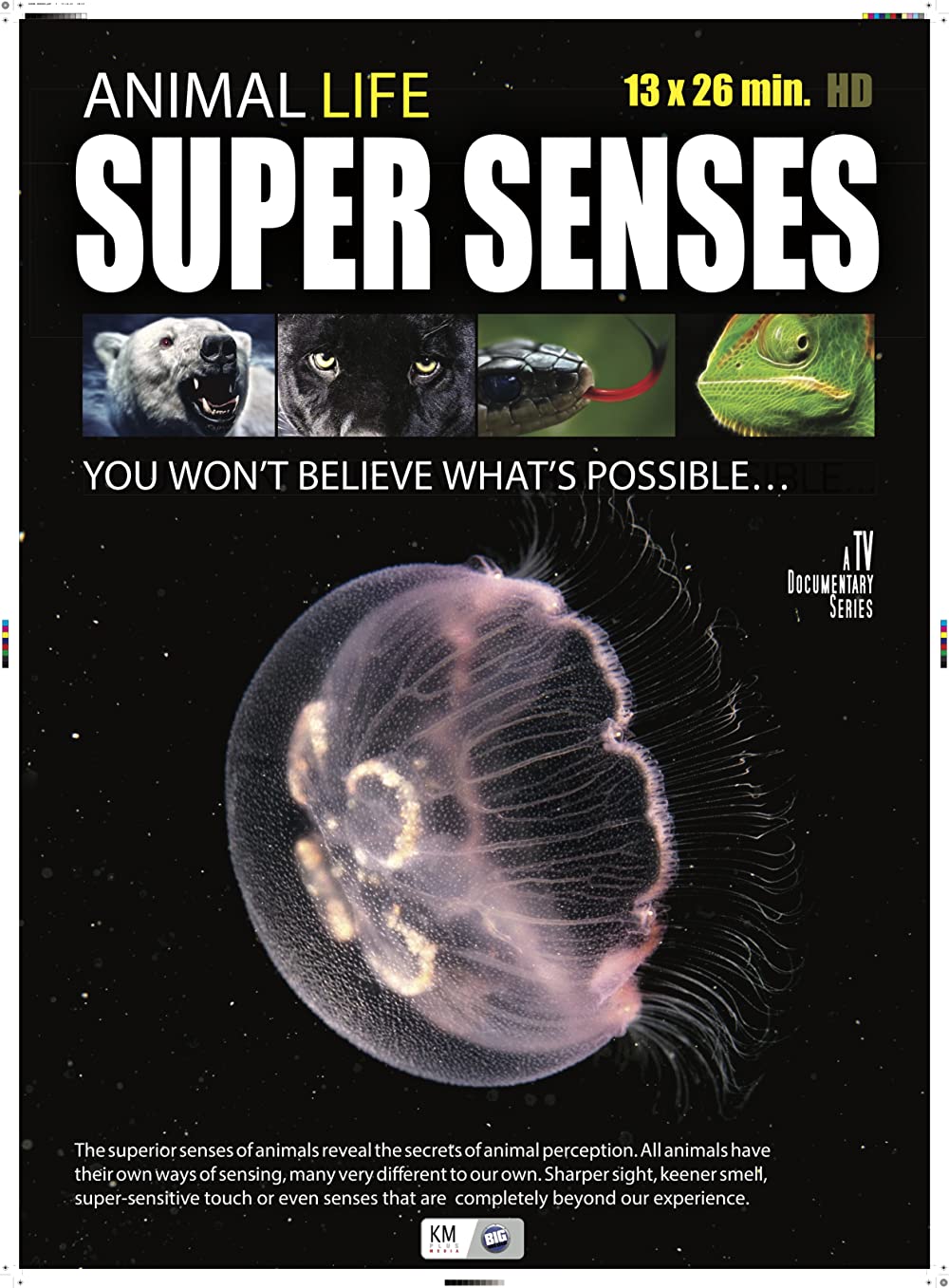 Super Senses (2015)