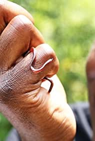 Super Small Animals (2017)