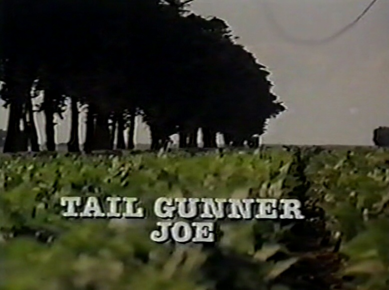 Tail Gunner Joe (1977)