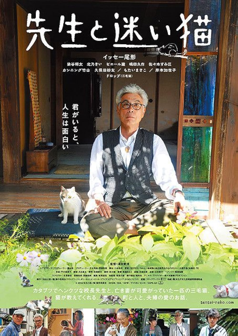 Teacher And Stray Cat (2015)