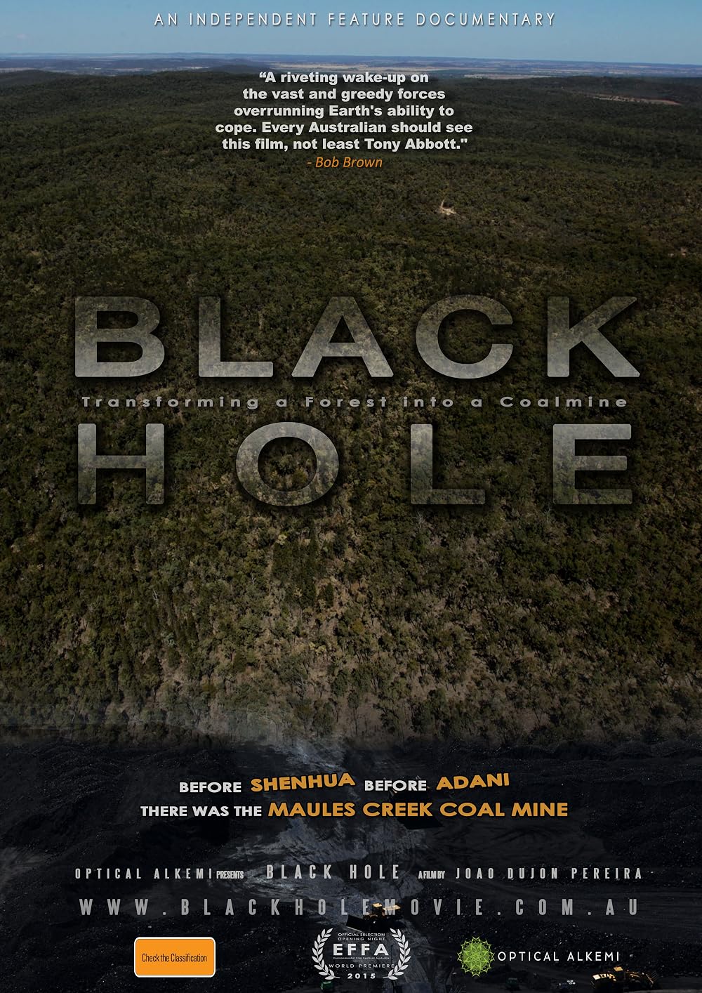 The Black Hole (2015)