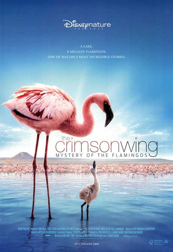 The Crimson Wing - Mystery Of The Flamingos (2008)
