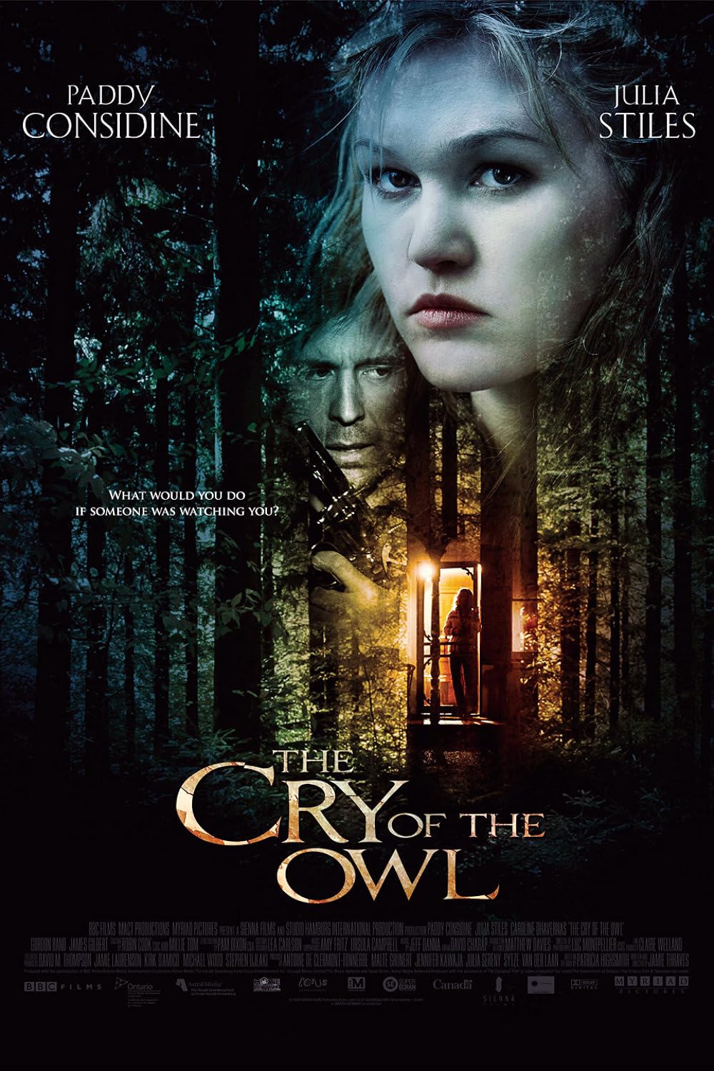 The Cry Of The Owl (2009)