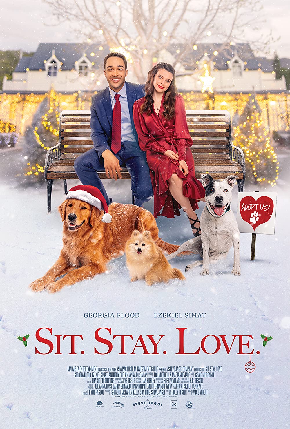 The Dog Days of Christmas (2021) aka Sit Stay Love