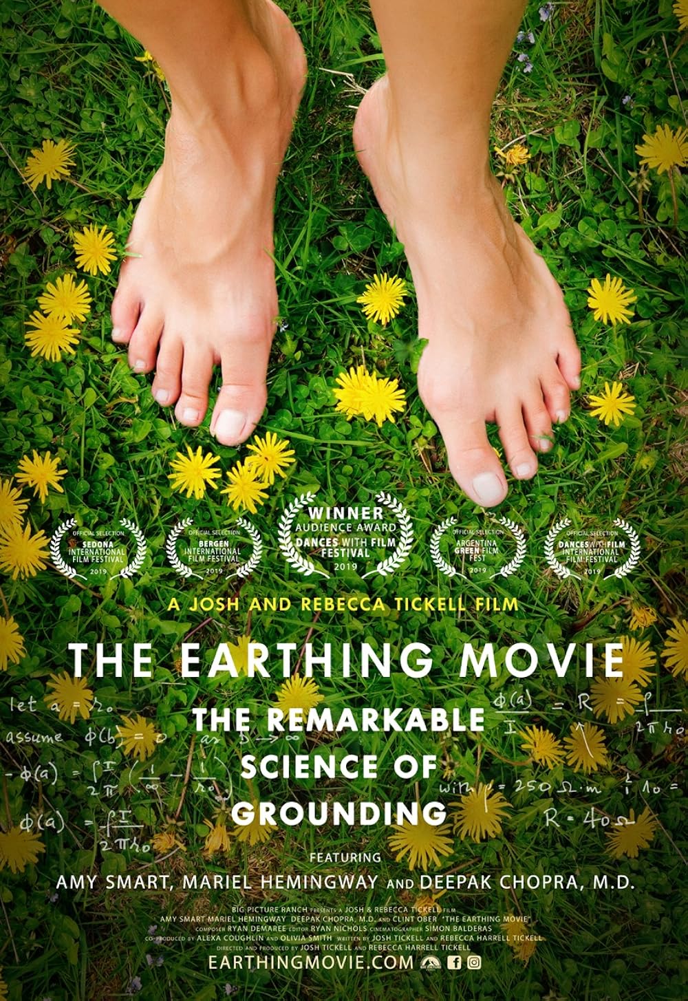 The Earthling Movie - The Remarkable Science Of Grounding (2019)