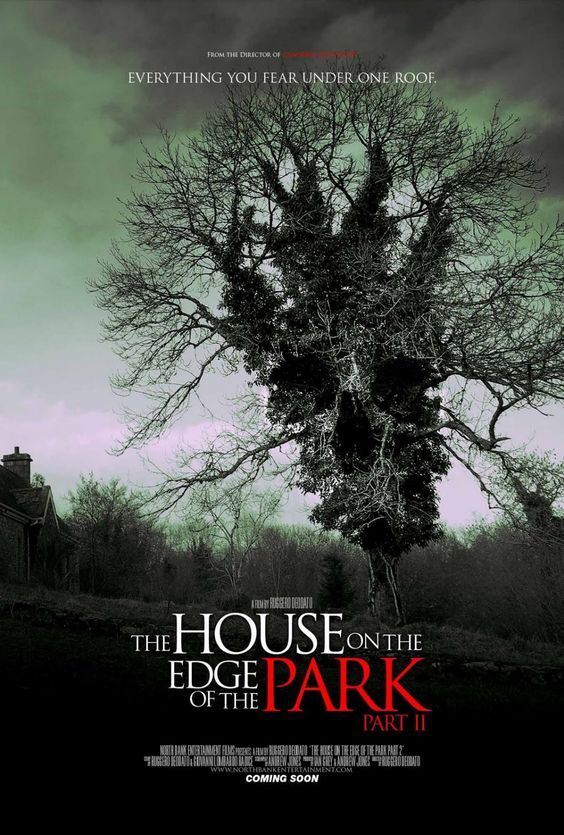 The House On The Edge Of The Park (1980)