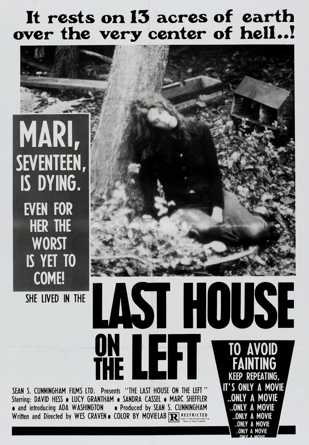 The Last House On The Left (1972) Sean Cunningham David Hess Wes Craven