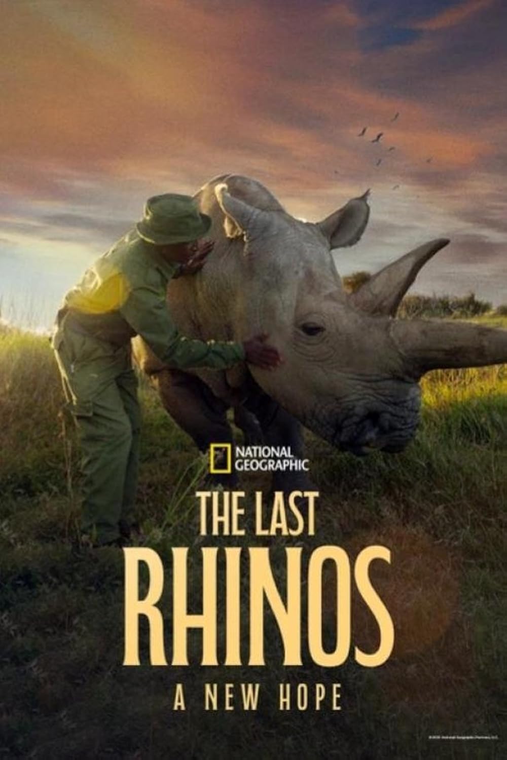 The Last Rhinos - A New hope (2025)