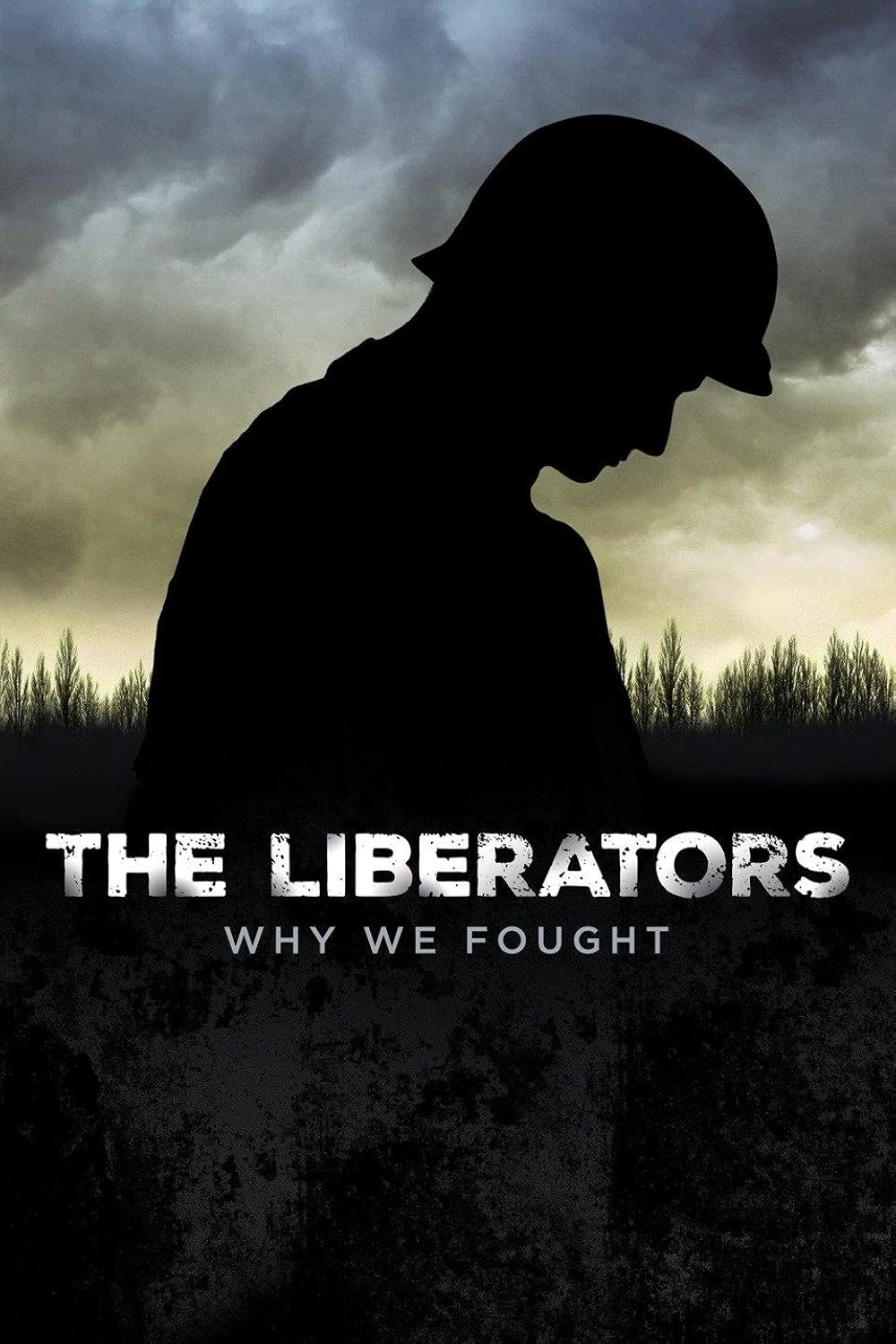 The Liberators - Why We Fought (2015)