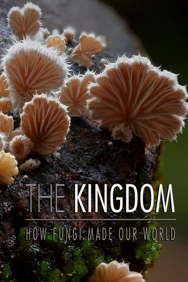 The Nature Of Things - The Kingdom - How Fungi Made Our World (2018)