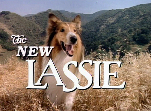 The New Lassie - Season 1 (1989) 4 DVD Set 25 Episodes