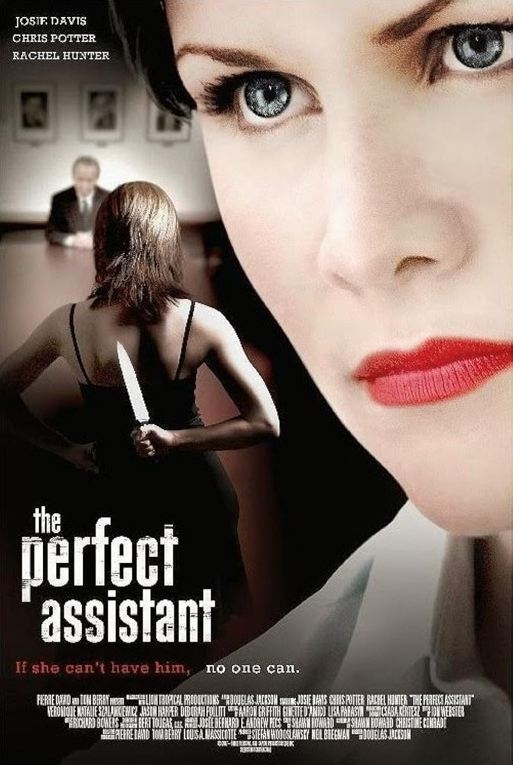 The Perfect Assistant (2008)