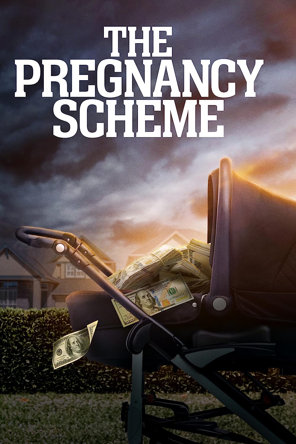 The Pregnacy Scheme (2023)