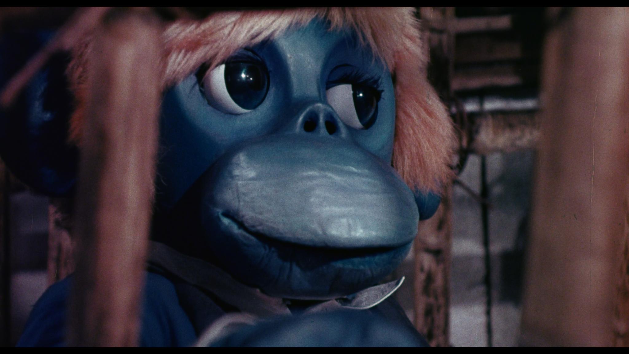 The Rare Blue Apes Of Cannibal Isle (1975)