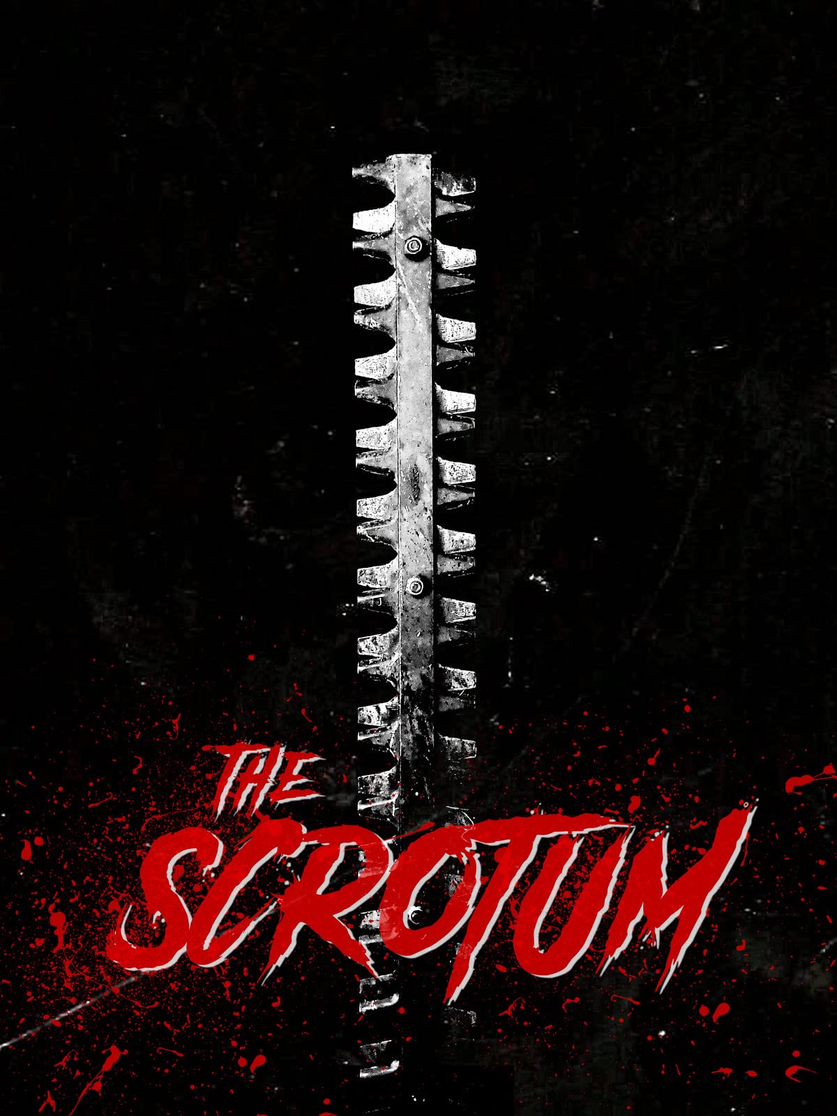 The Scrotum (2019)