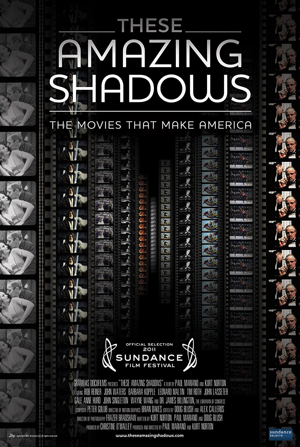 These Amazing Shadows (2011)