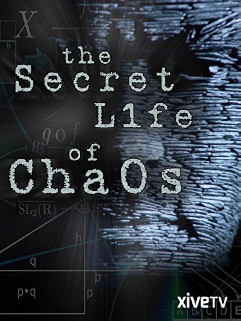 The Secret Life Of Chaos (2010)
