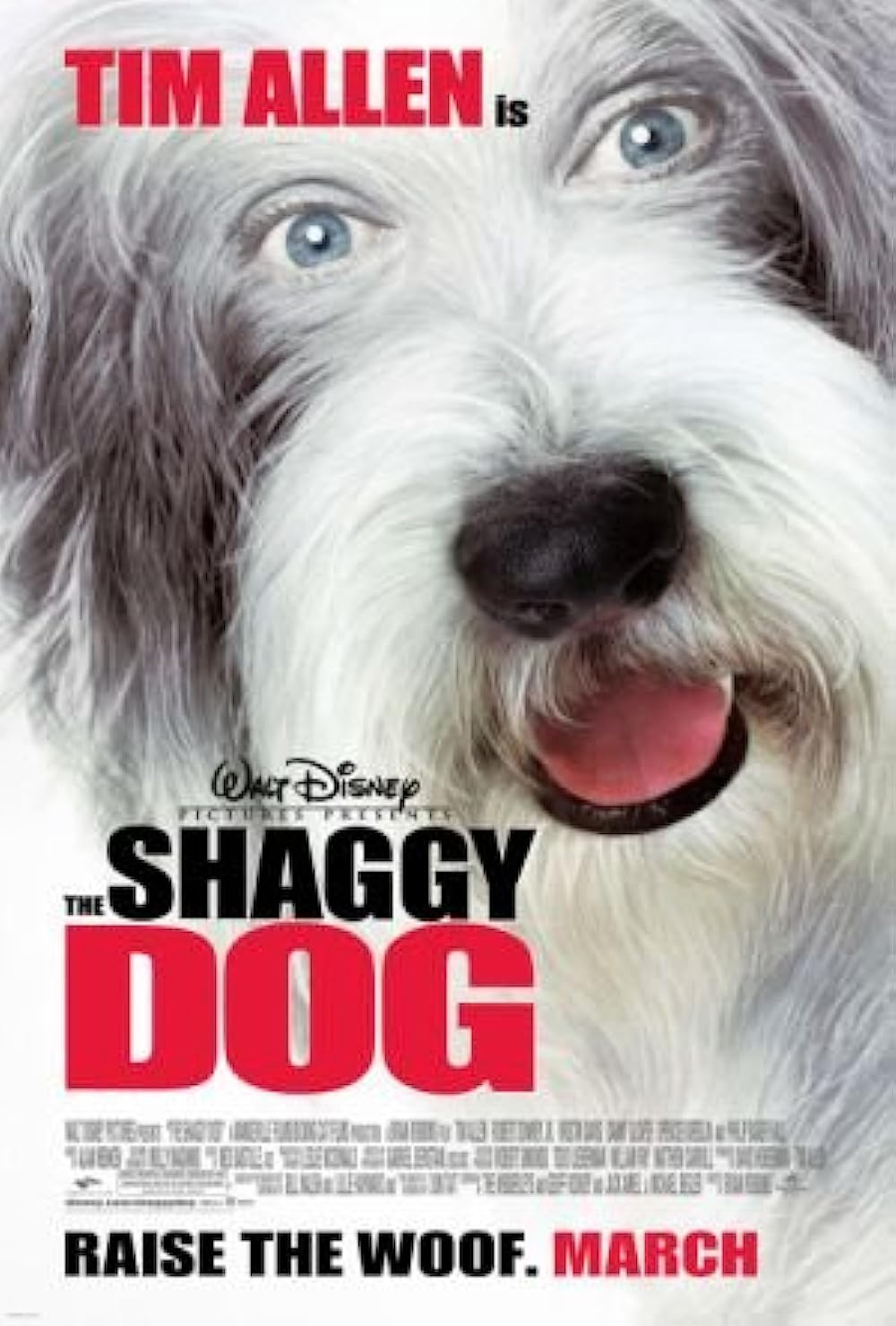 The Shaggy Dog (2006) Tim Allen