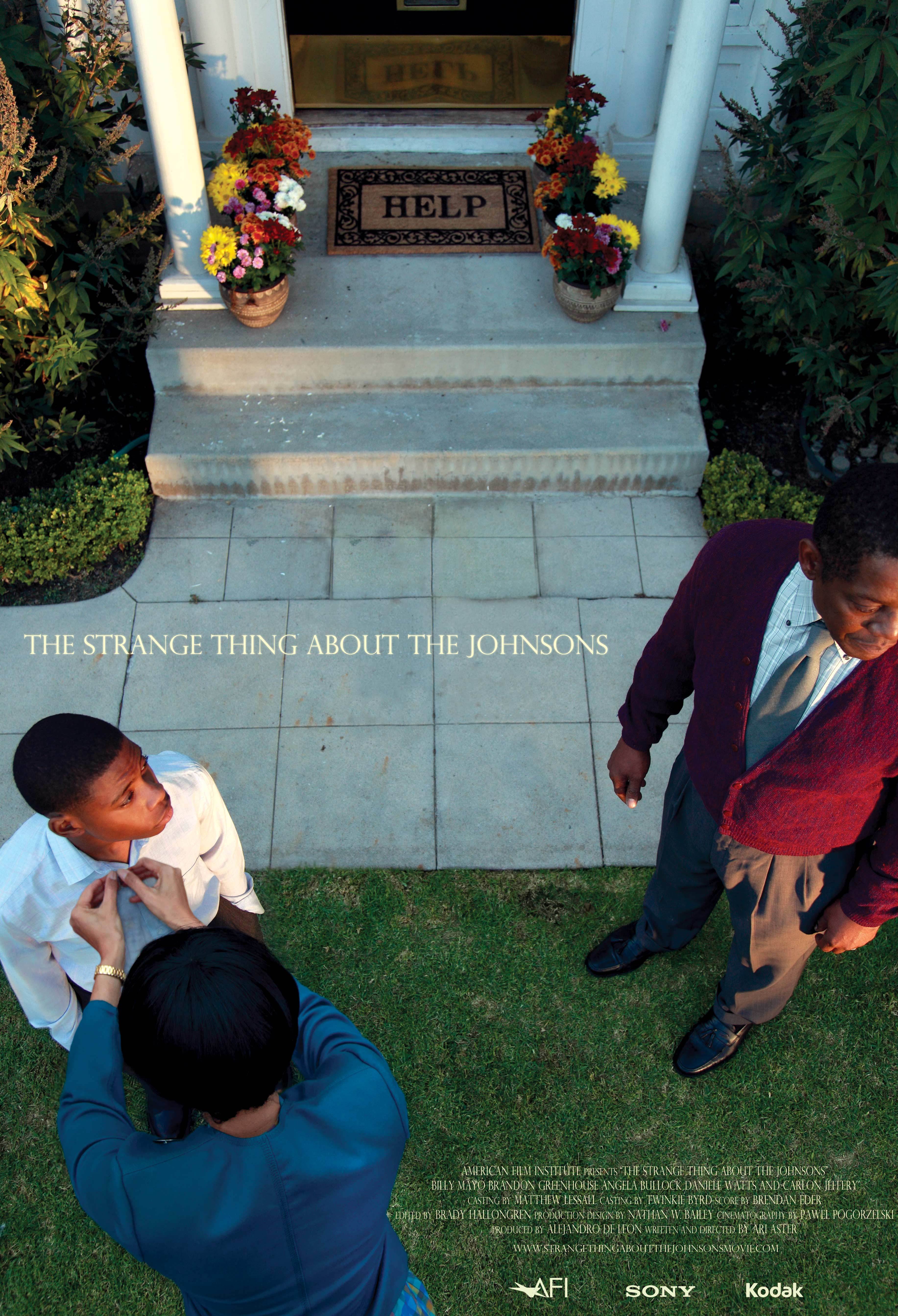 The Strange Thing About The Johnsons (2011)