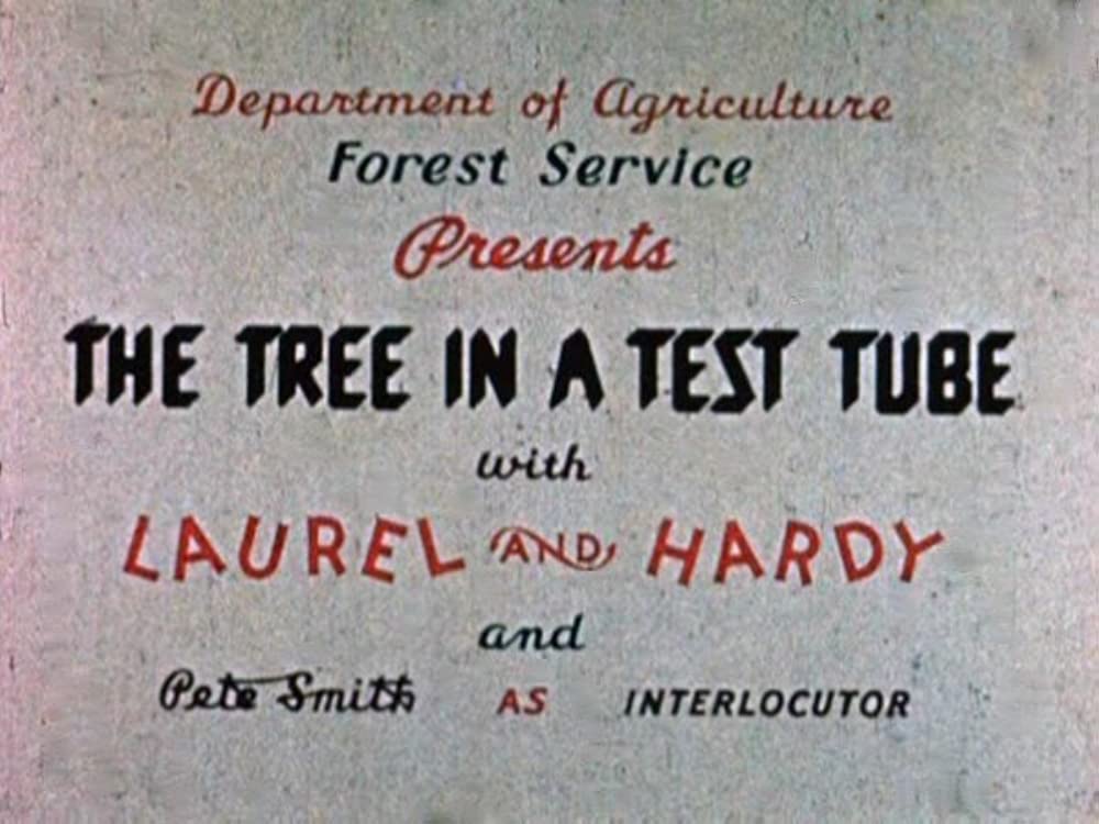 The Tree In A Test Tube (1942) Laurel And Hardy