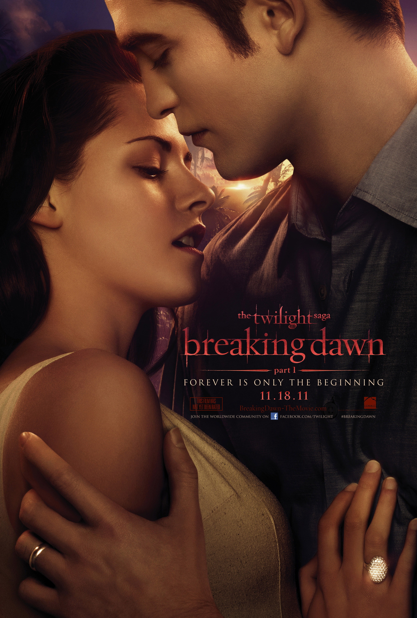The Twilight Saga - Breaking Dawn - Part 1 (2011)