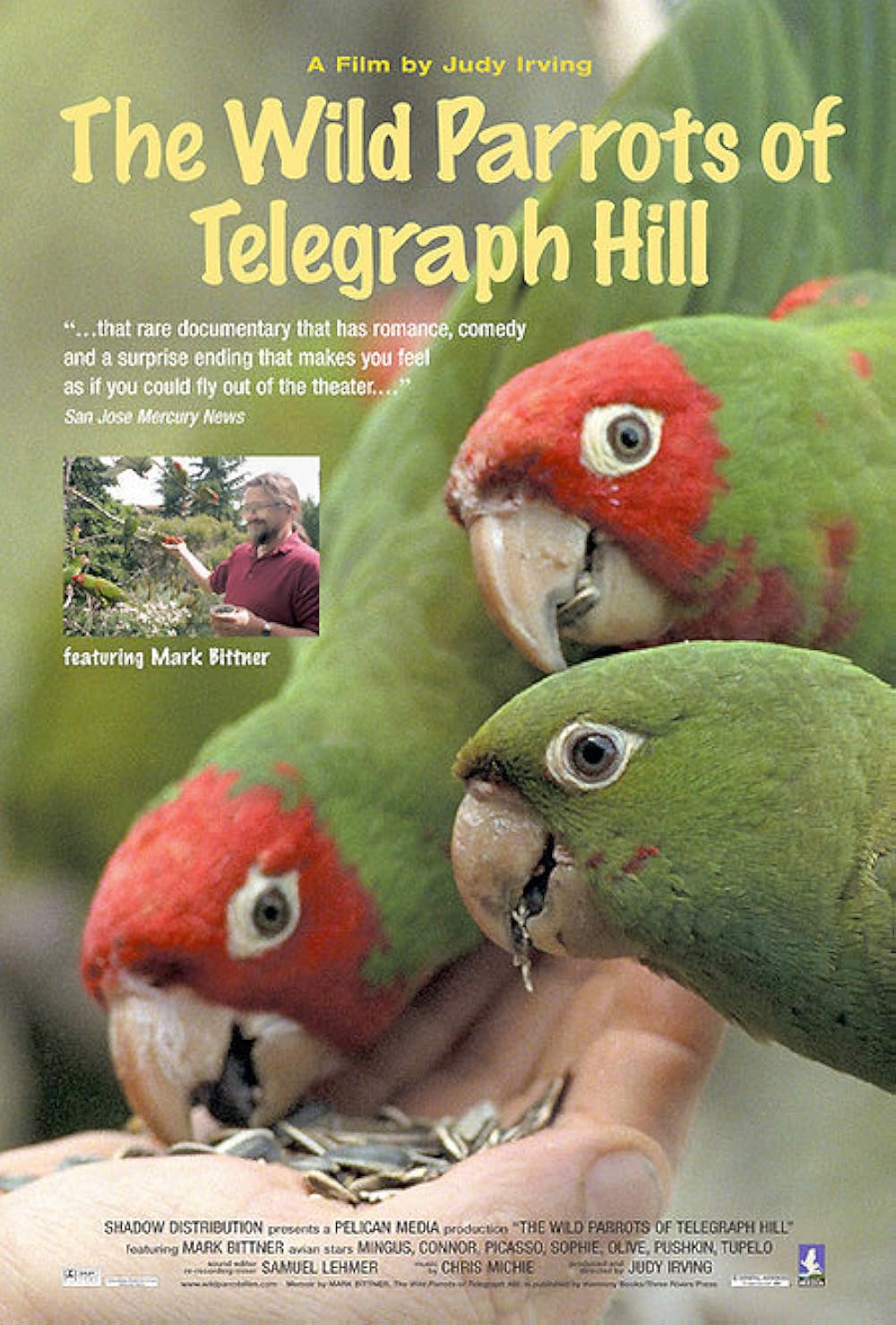 The WIld Parrots Of Telegraph Hill (2003)