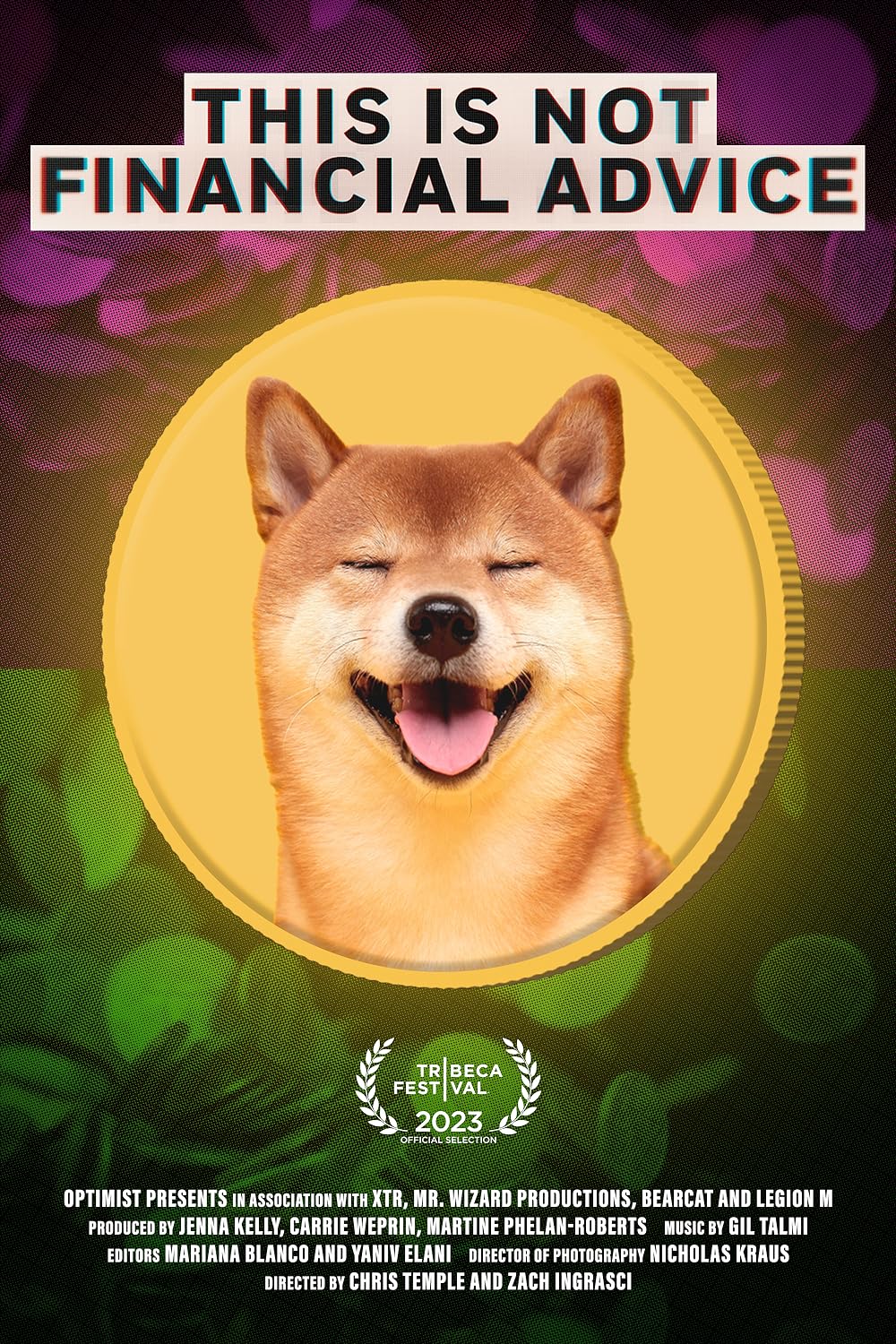 This Is Not Financial Advice (2023)