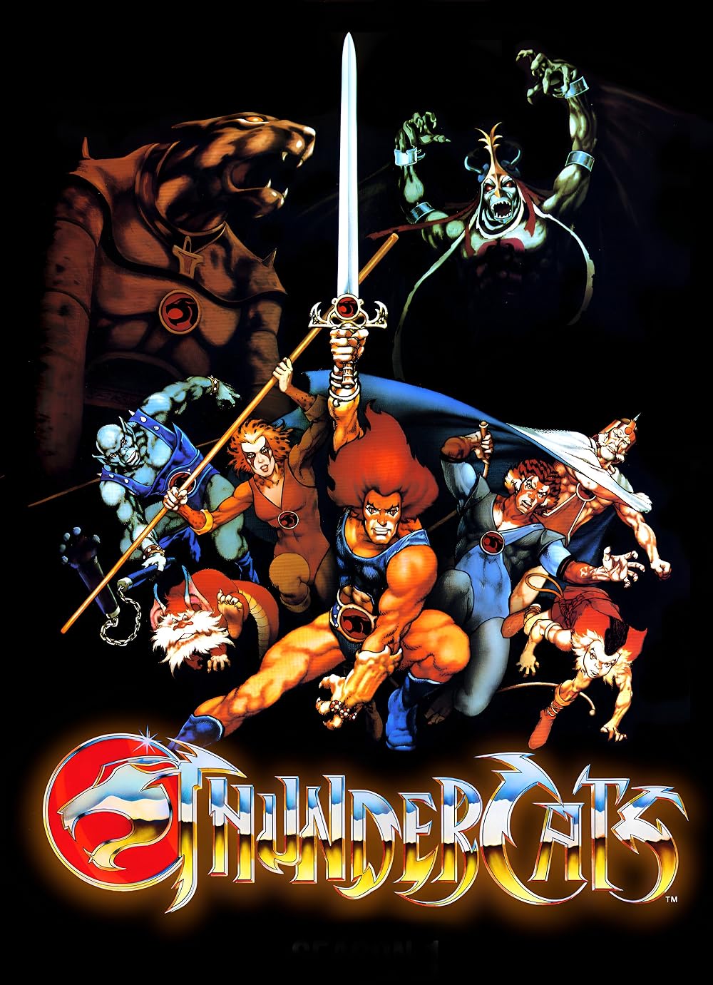 Thundercats - Season One (1985) 11 DVD Set