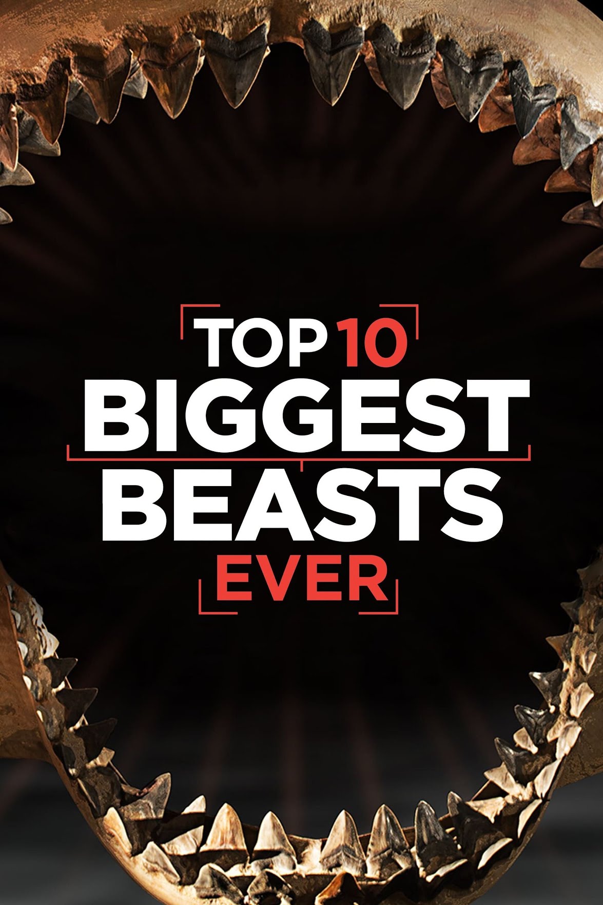 Top 10 Biggest Beast Ever (2015)