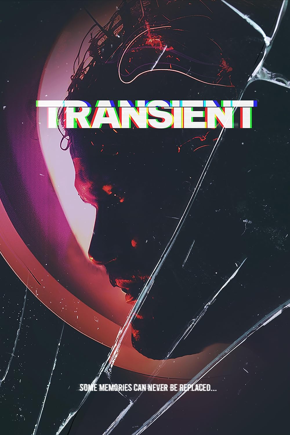 Transient (2024)