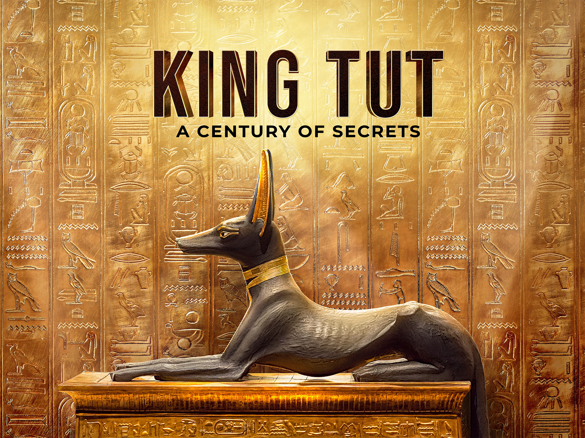 Tut - A Century Of Secrets (2022)