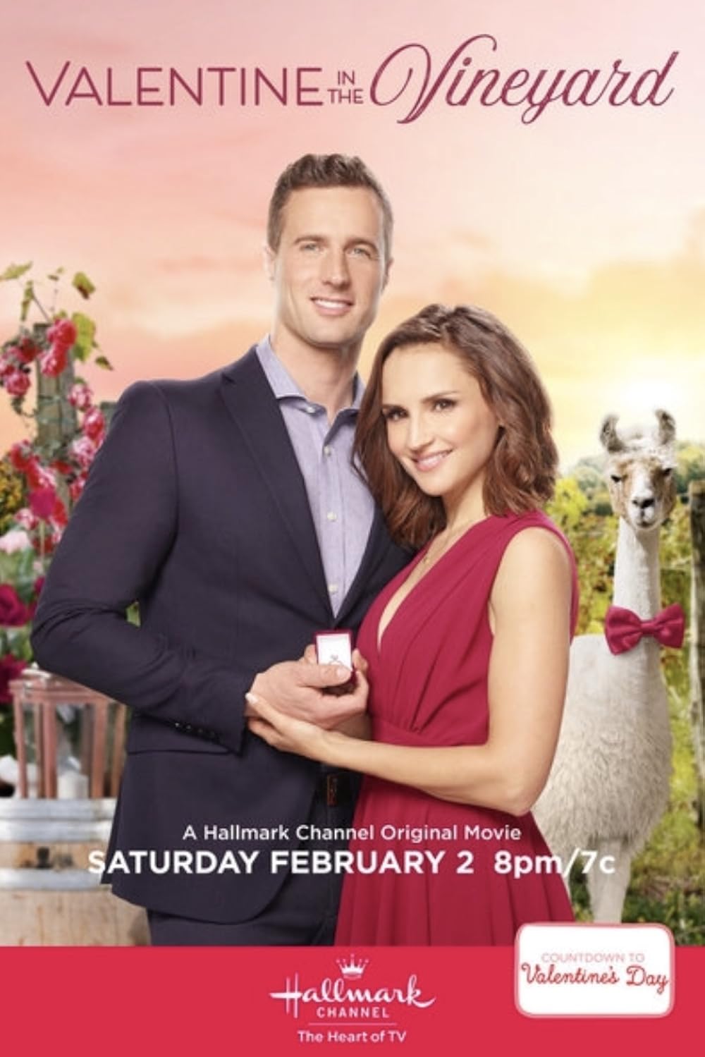 Valentine In The Vineyard (2019)