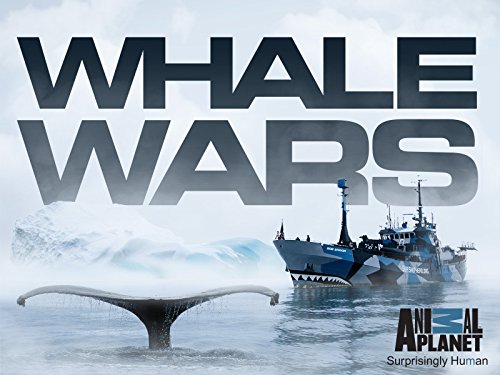 Whale Wars - Season Four (2011) 4 DVD Set