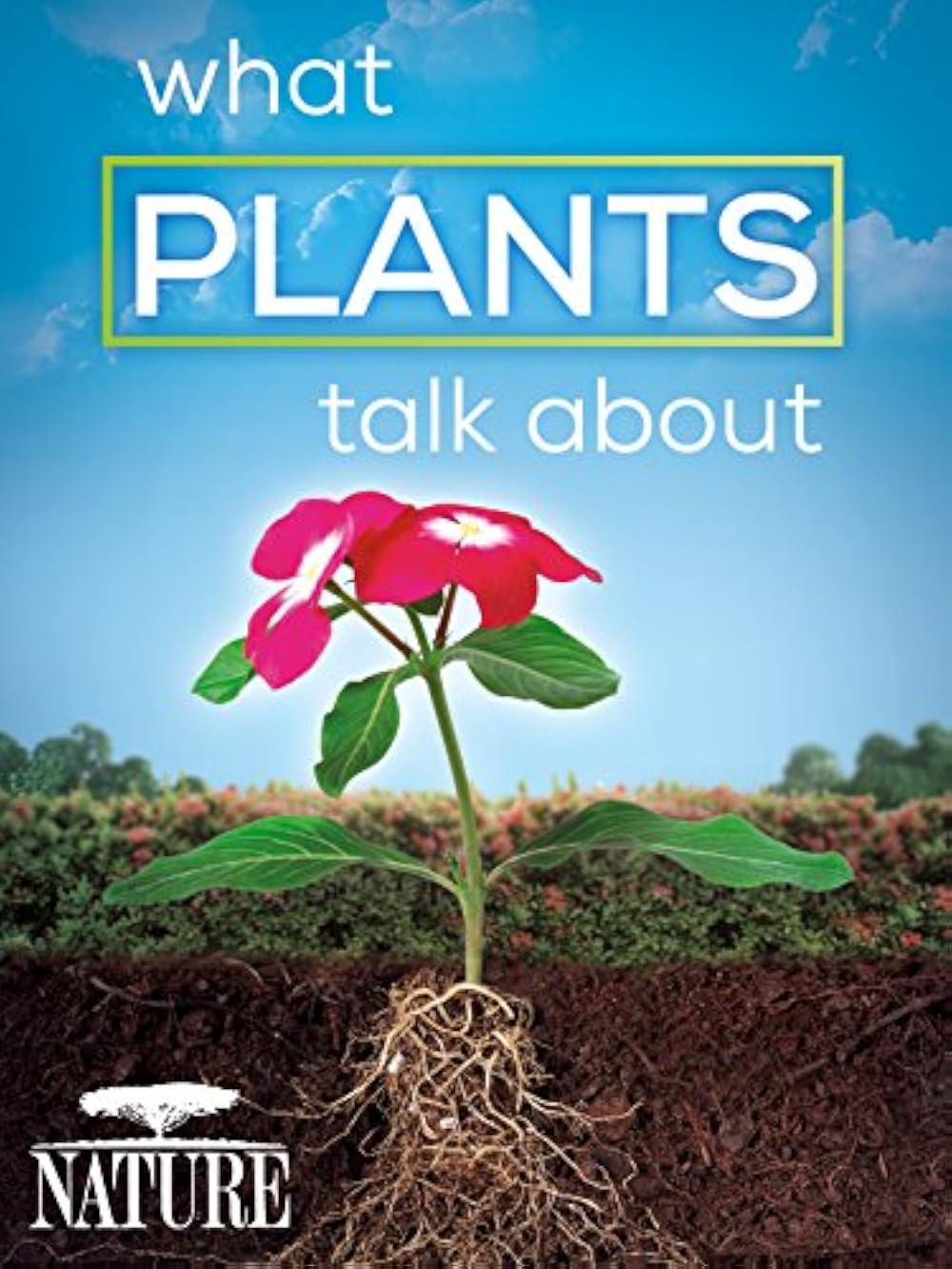 What Plants Talk About (2013)