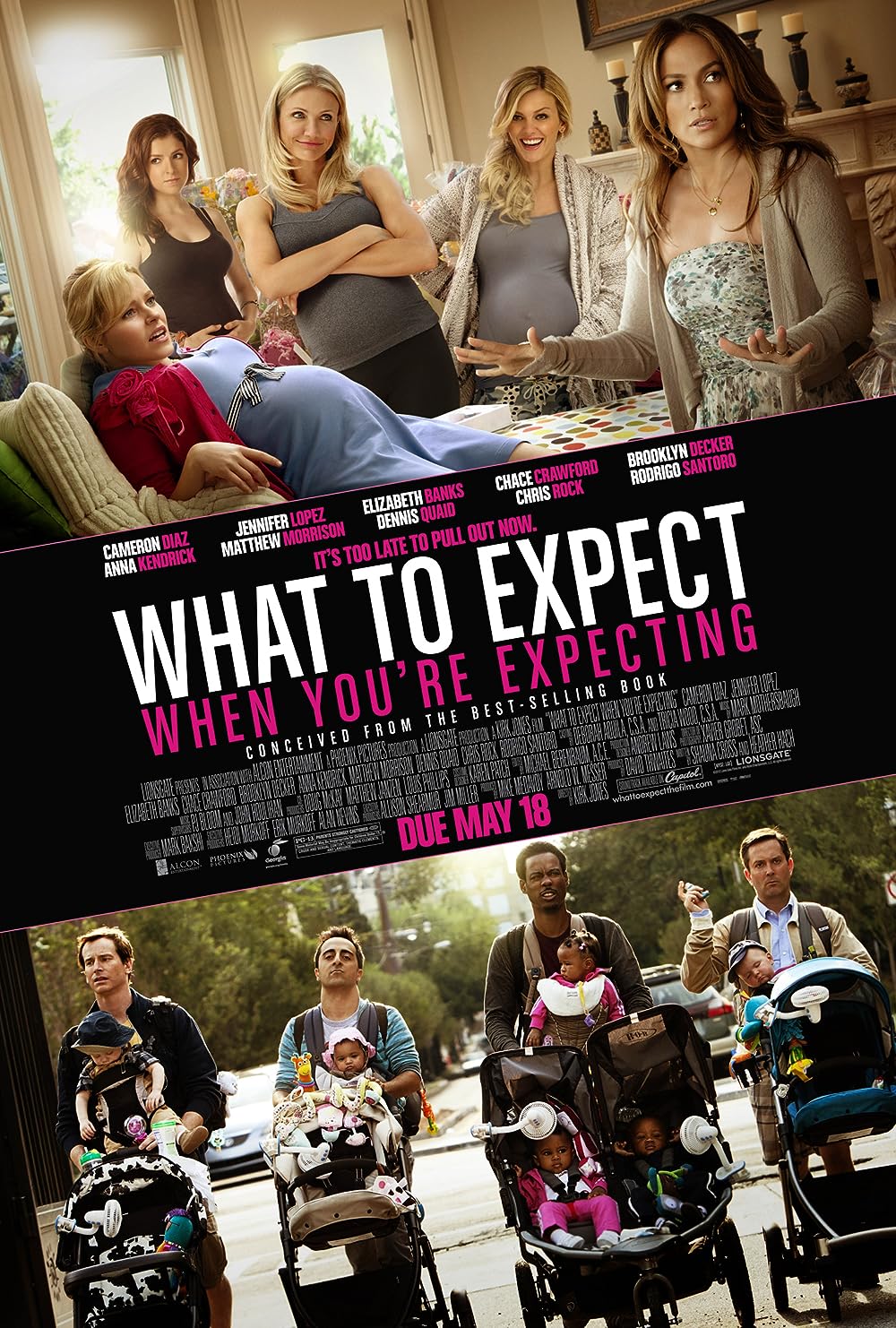 What To Expect When You're Expecting (2012)